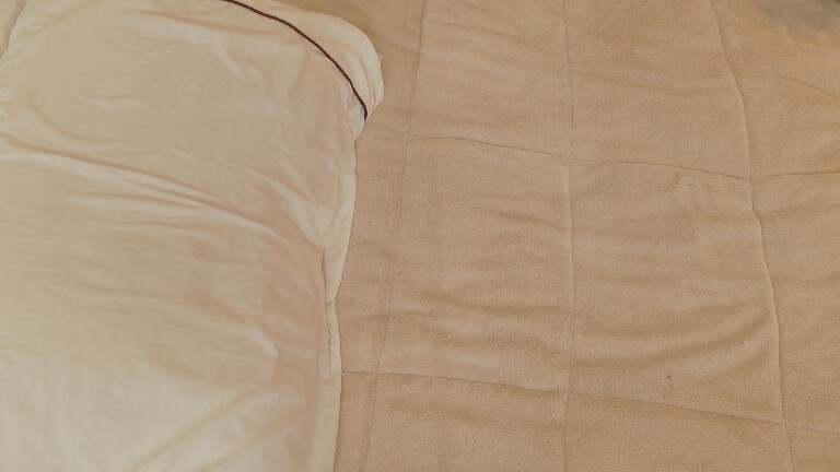 AmeAlcaraz's Streamate show and profile